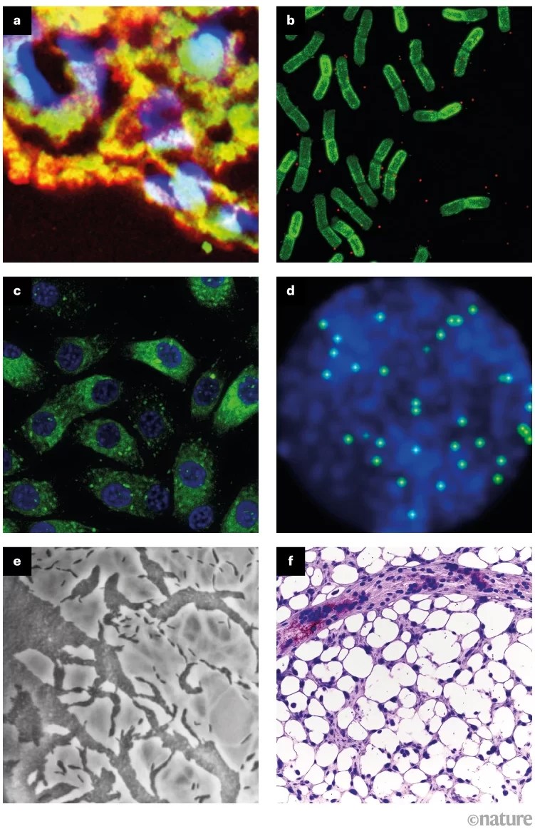 AI-Generated Images Scientific