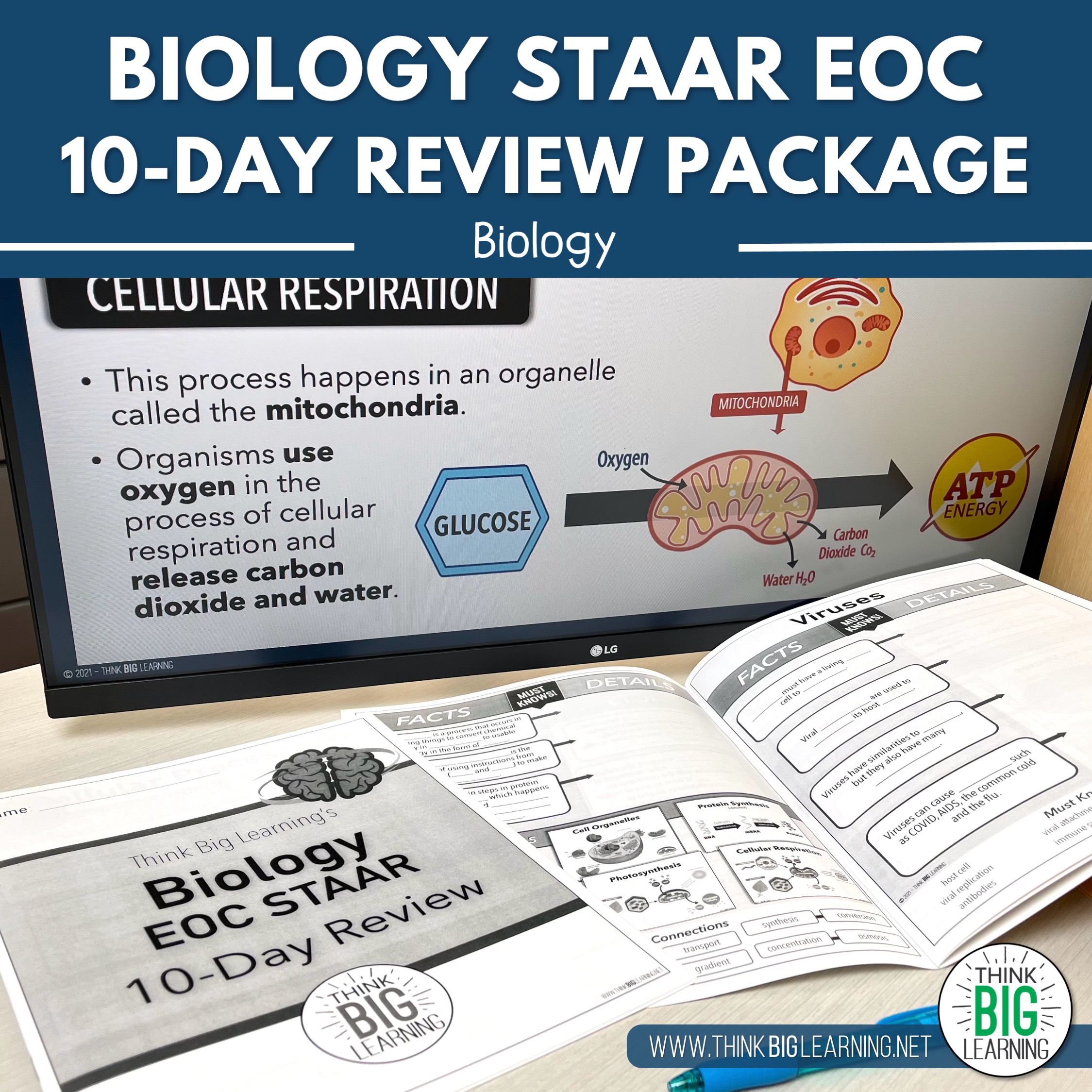 Biology eoc targeted review