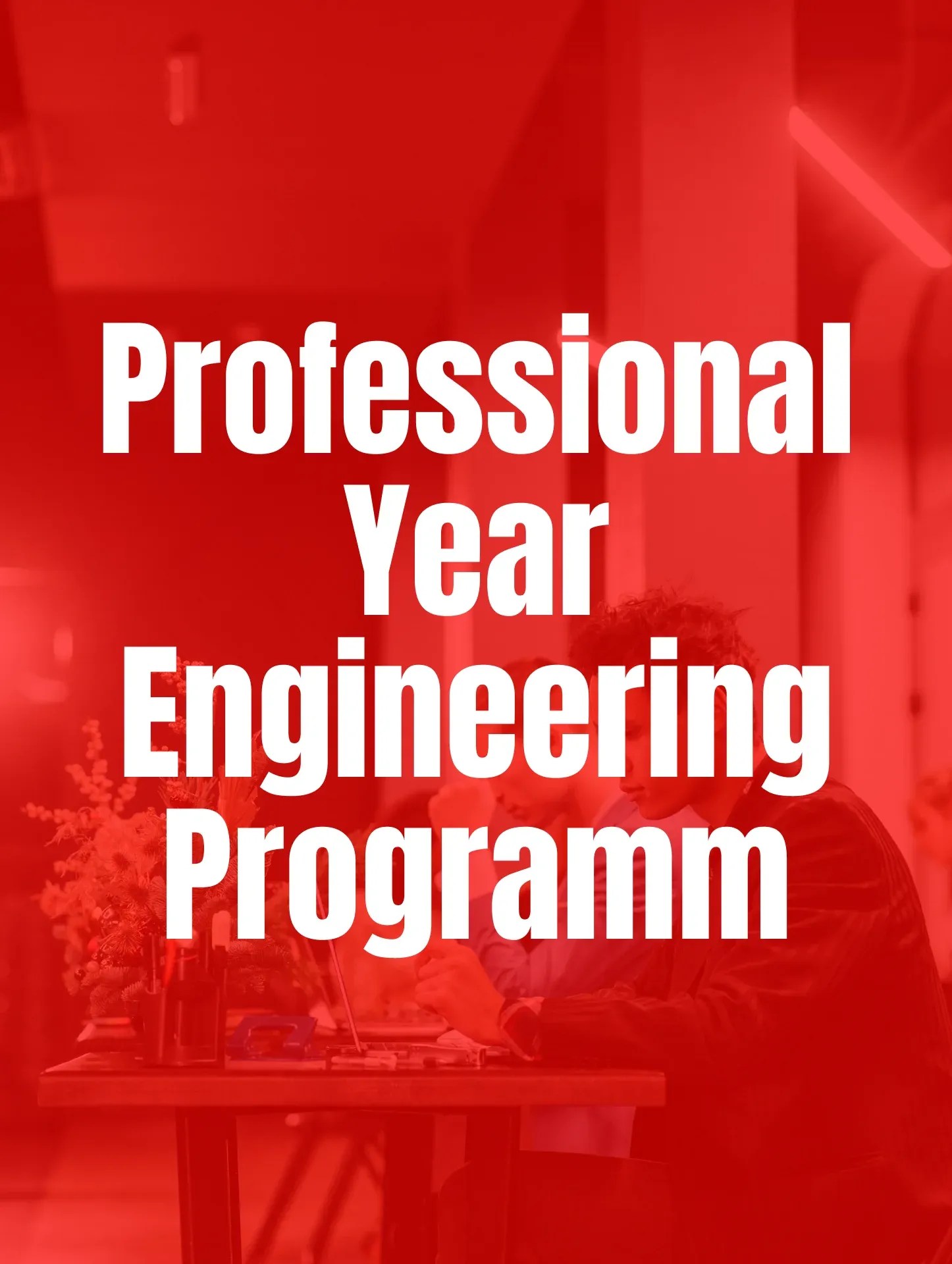 Professional Year – Engineering Program