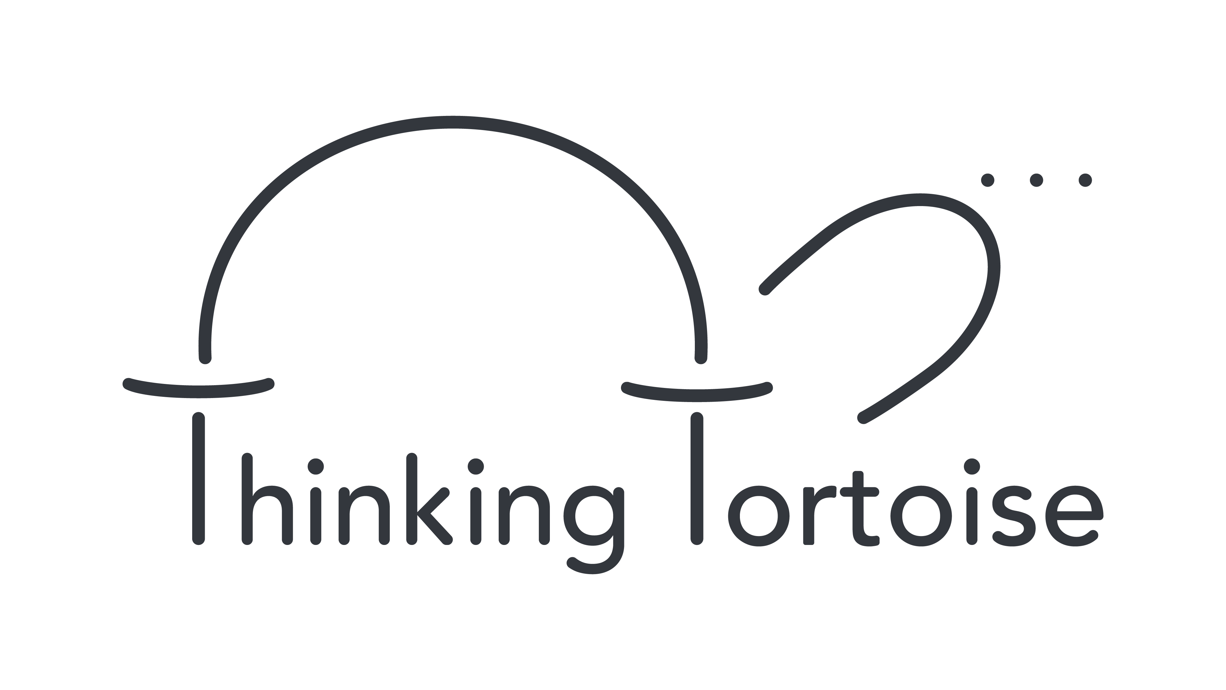 Thinking tortoise digital marketing agency