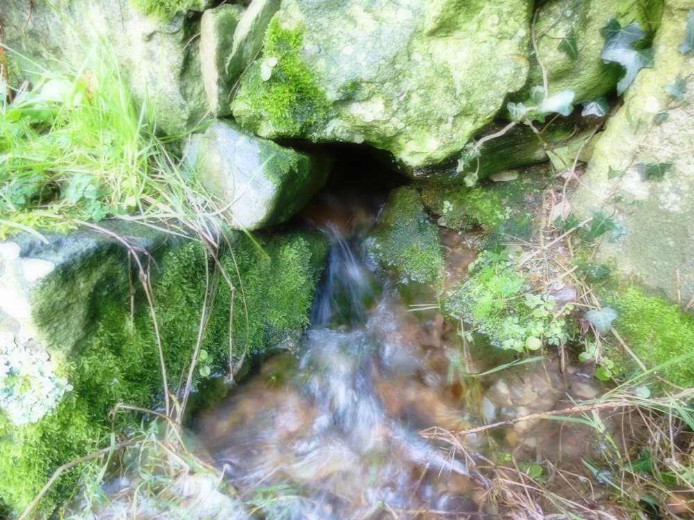 Water running www.thinkingcowgirl.wordpress.com