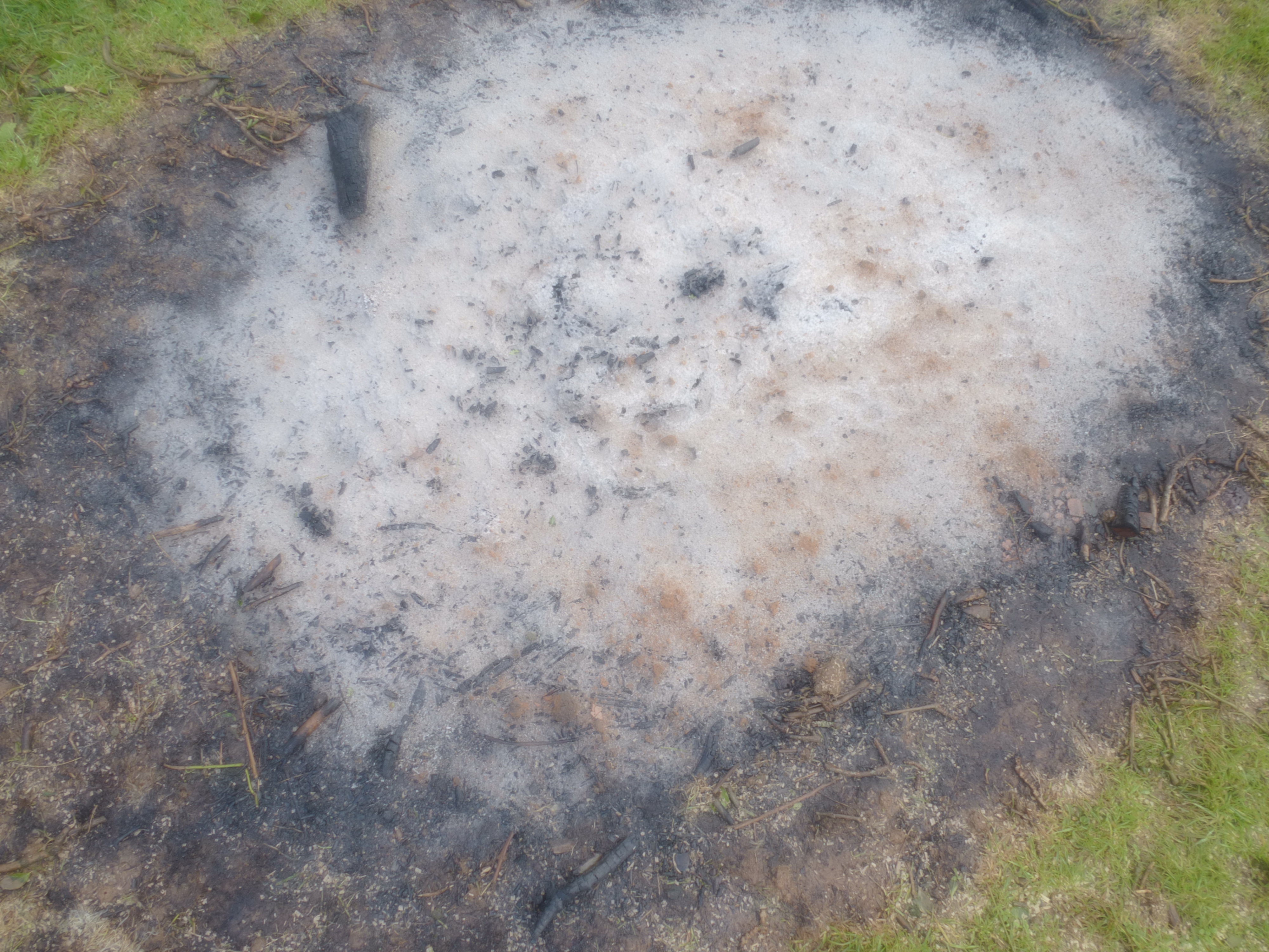 ash circle www.thinkingcowgirl.wordpress.com