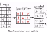 Face Recognition Using Deep Learning Cnn In Python Thinking Neuron