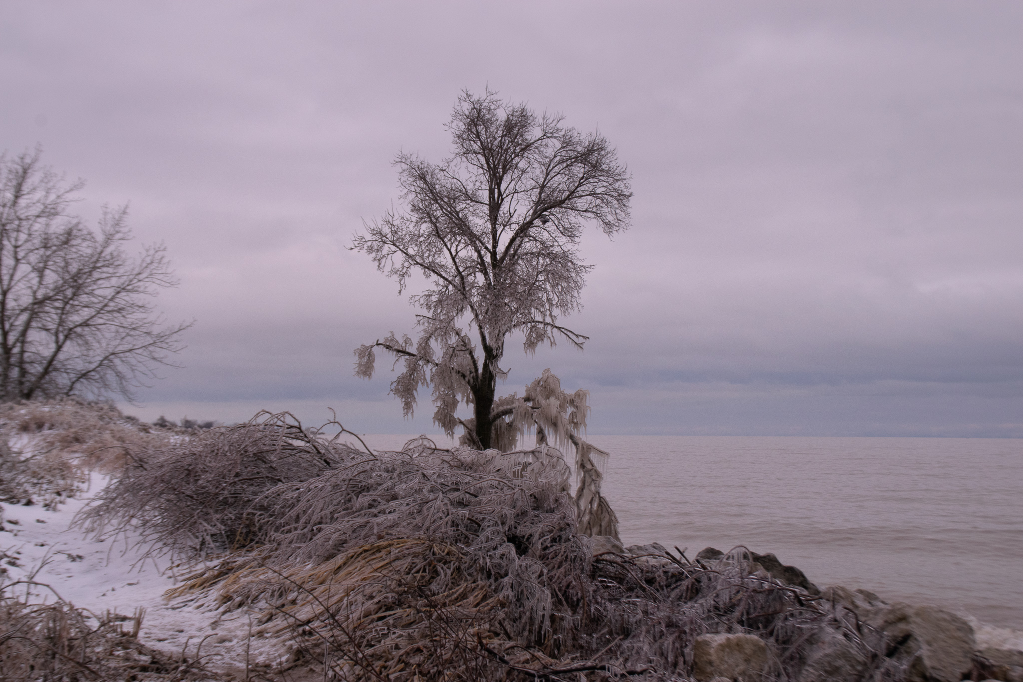 Resurrecting a neglected blog