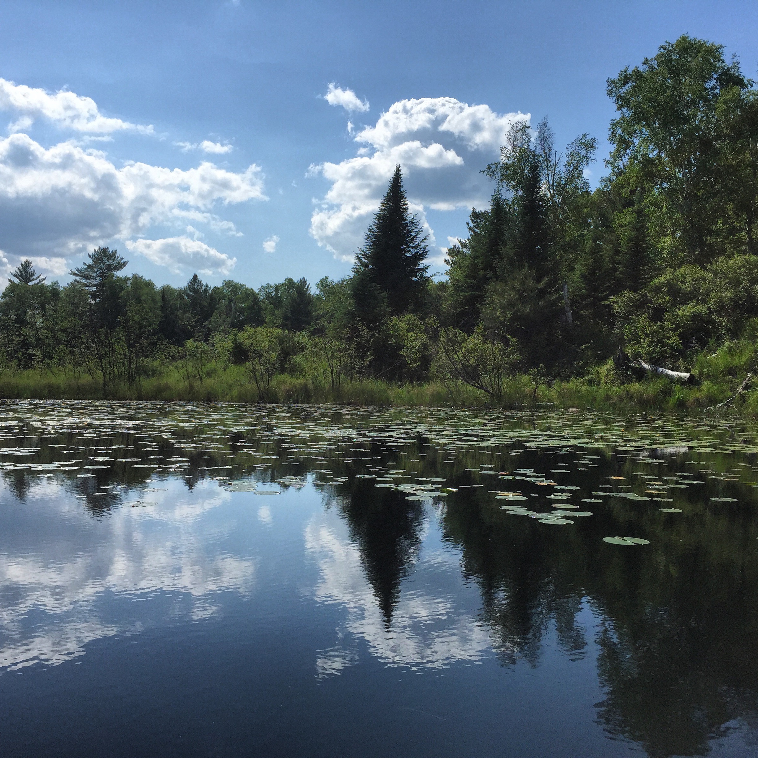 Big Island Lake, Minnesota