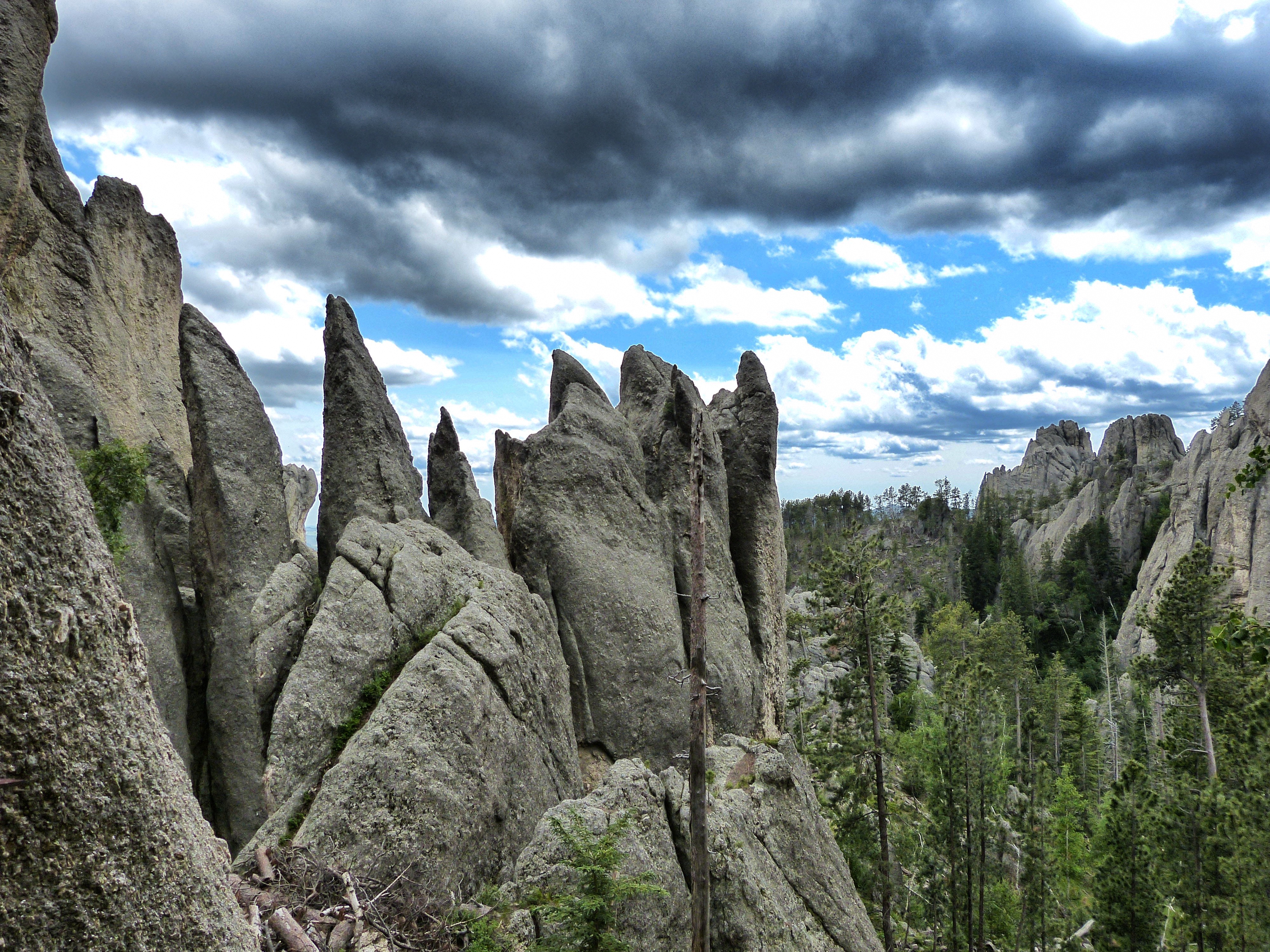 The Stunning Vistas of Needles Highway - ThirdeyemomThirdeyemom