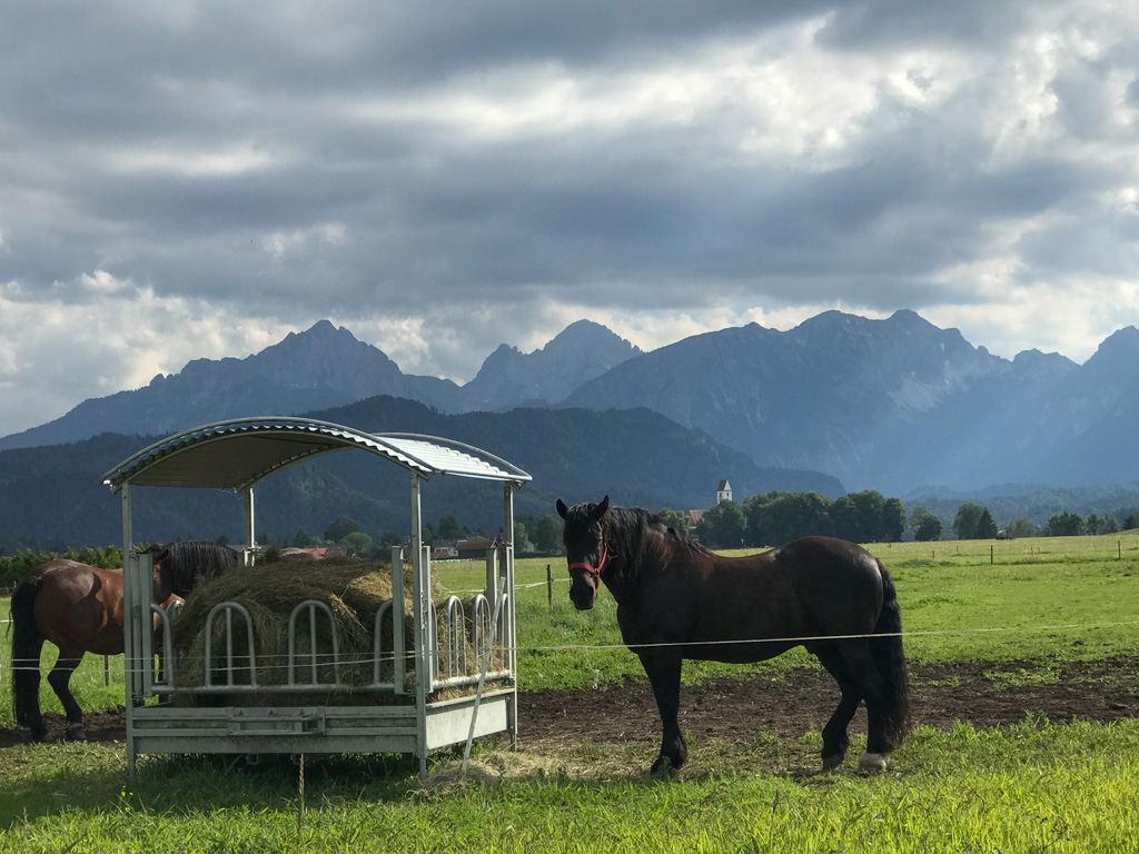 I loved the pastures and views of the mountains