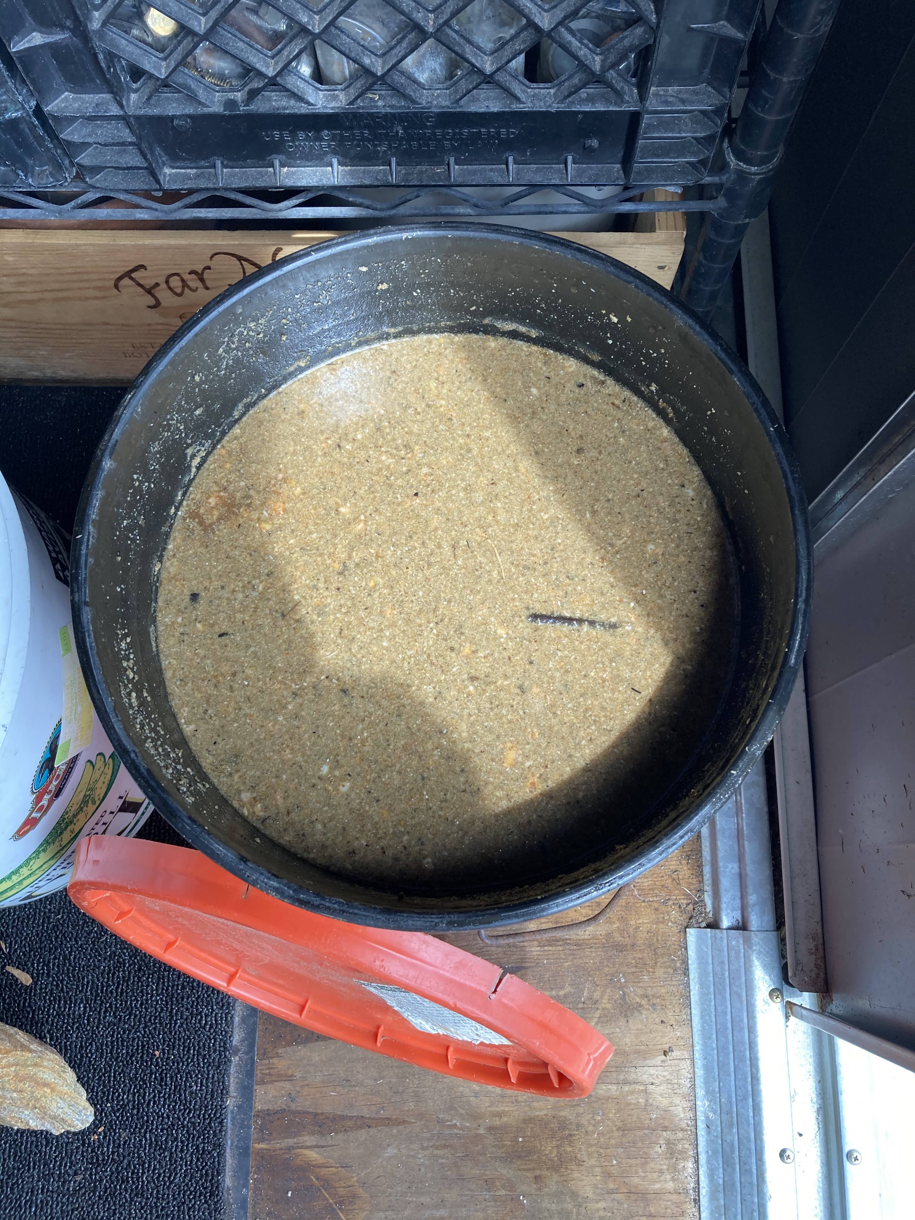 How to make Fish Hydrolysate〡Third Insight Design and Nursery & nursery