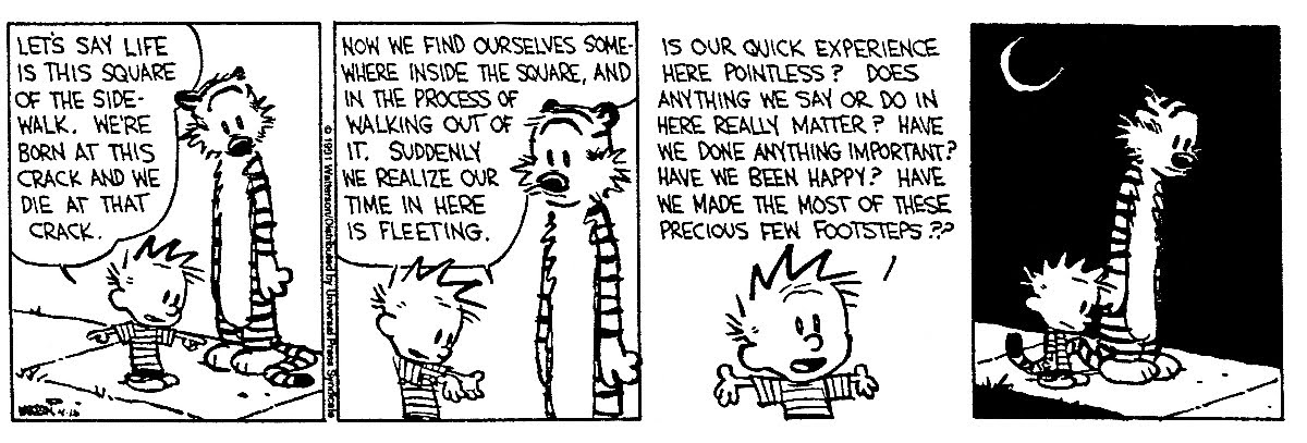 Calvin and hobbes