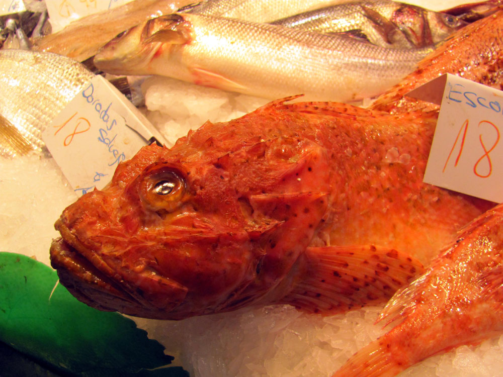 Fish at La Bouqueria Market