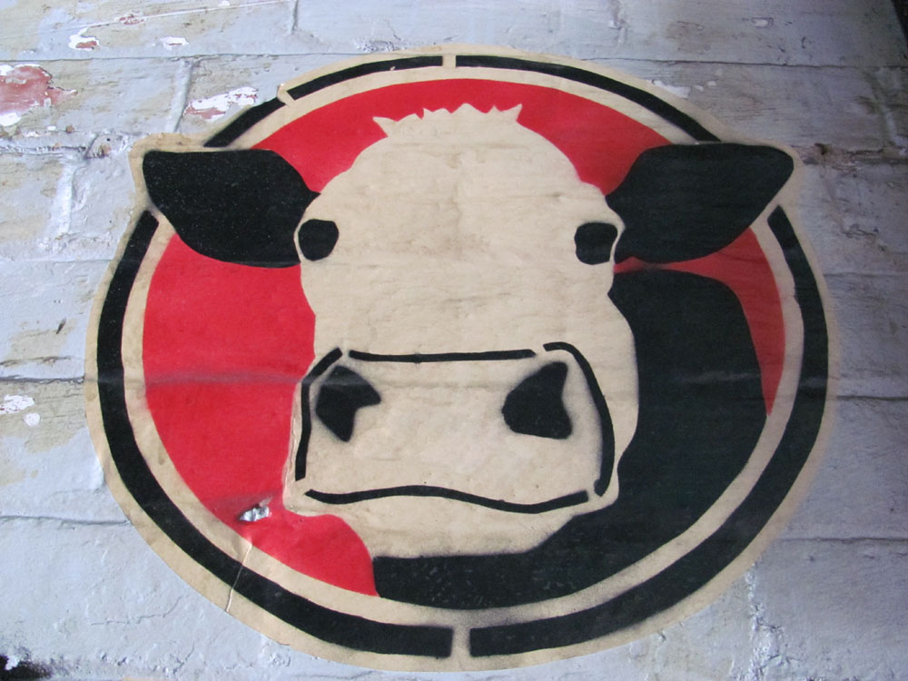 New Zealand Street Art