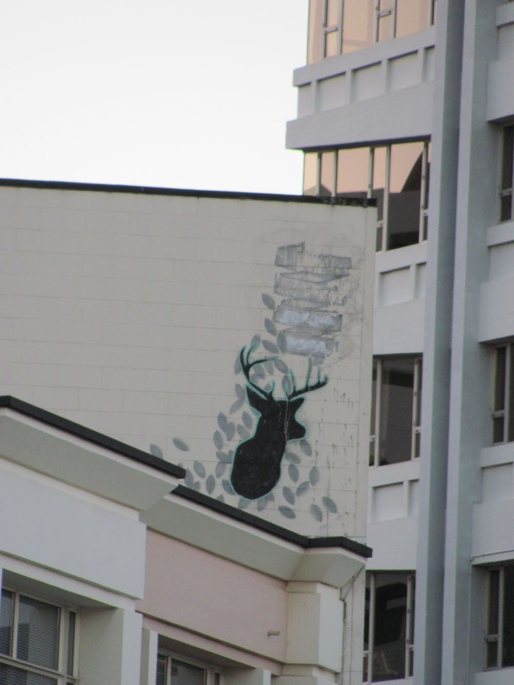 New Zealand Street Art