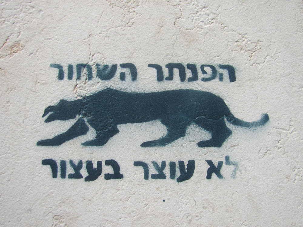 Israel Street Art