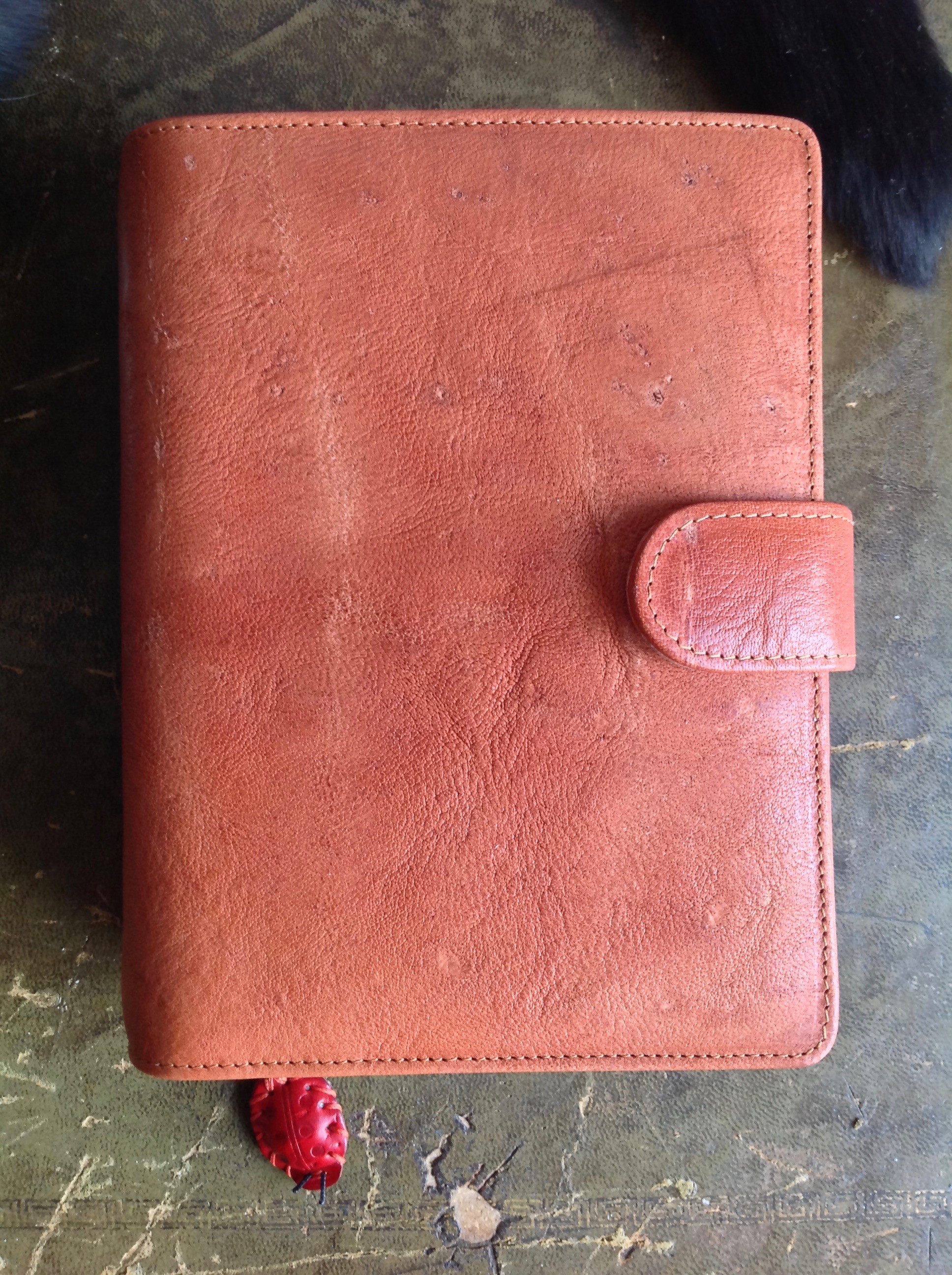 Moved into the first ever Janet Leather binder