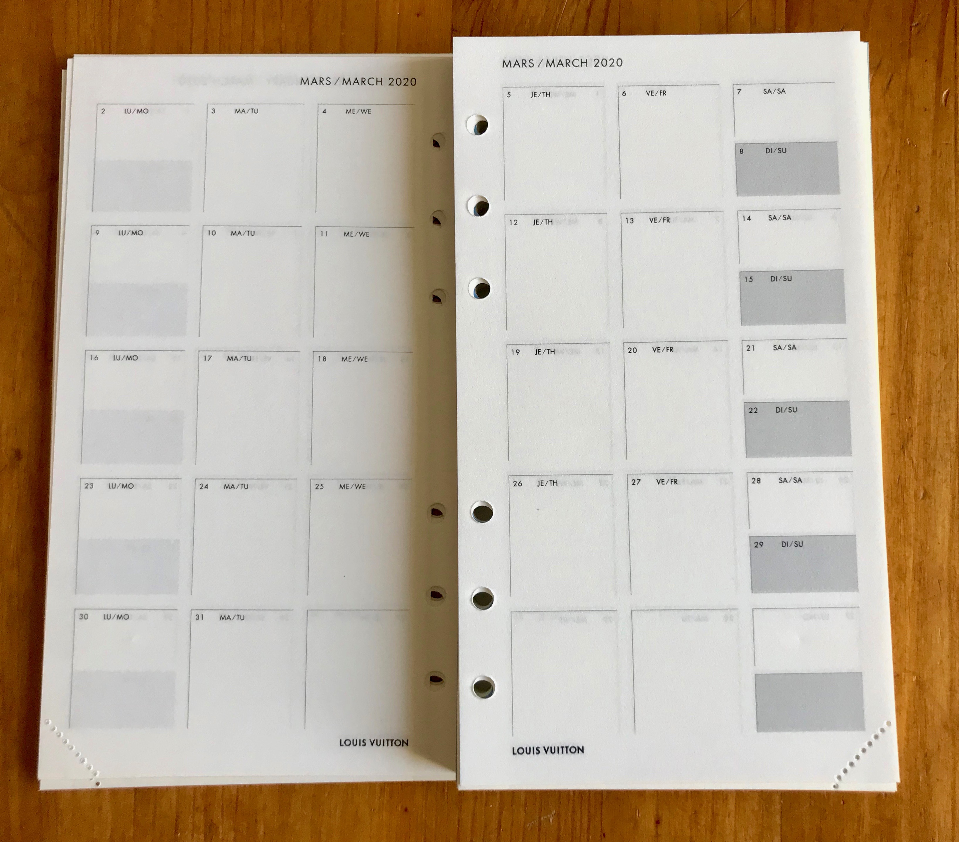 LV Agenda MM Daily Planner Inserts