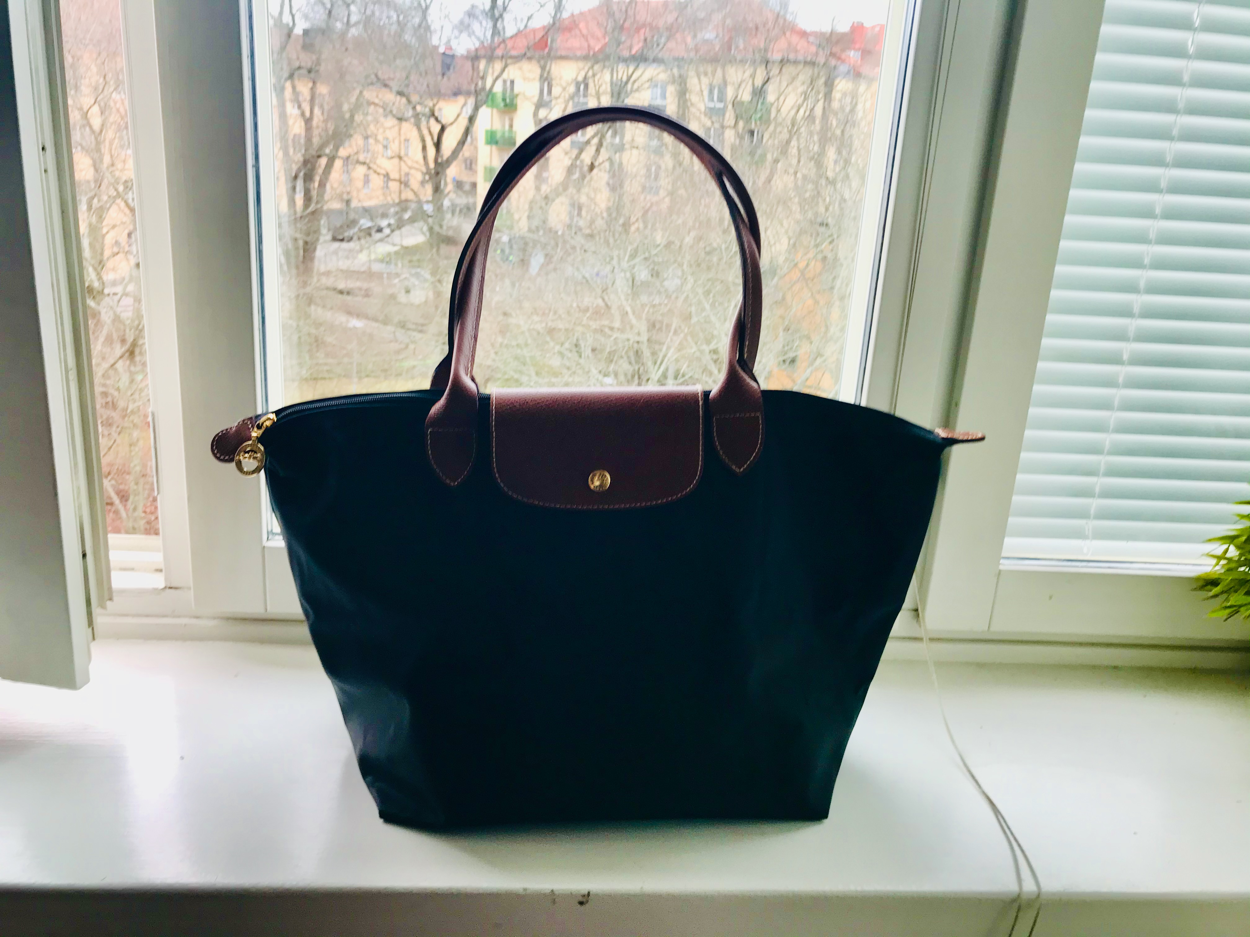 how to clean longchamp bag