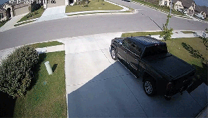 bird rate camera frame flapping wings floaty matches moving cameras story slow