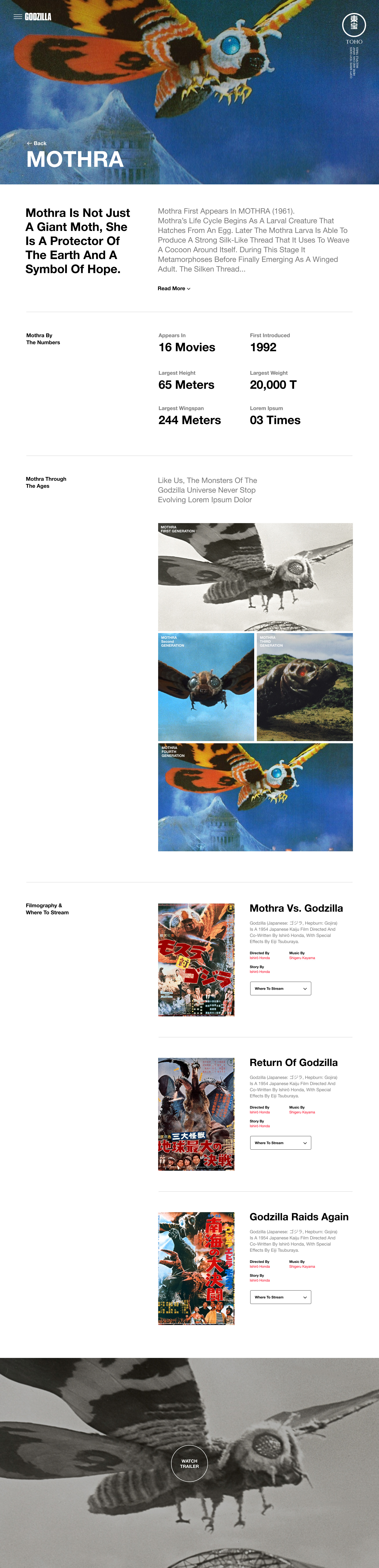 Pattern-Godzilla-MONSTER-DETAIL-01