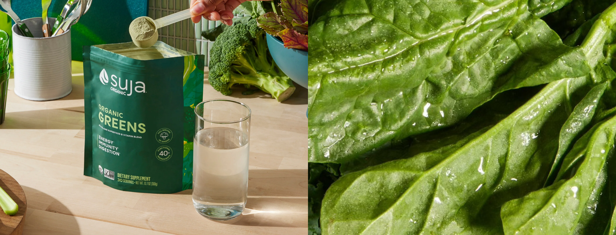 Pattern-Suja-LifestyleBreaker@2x