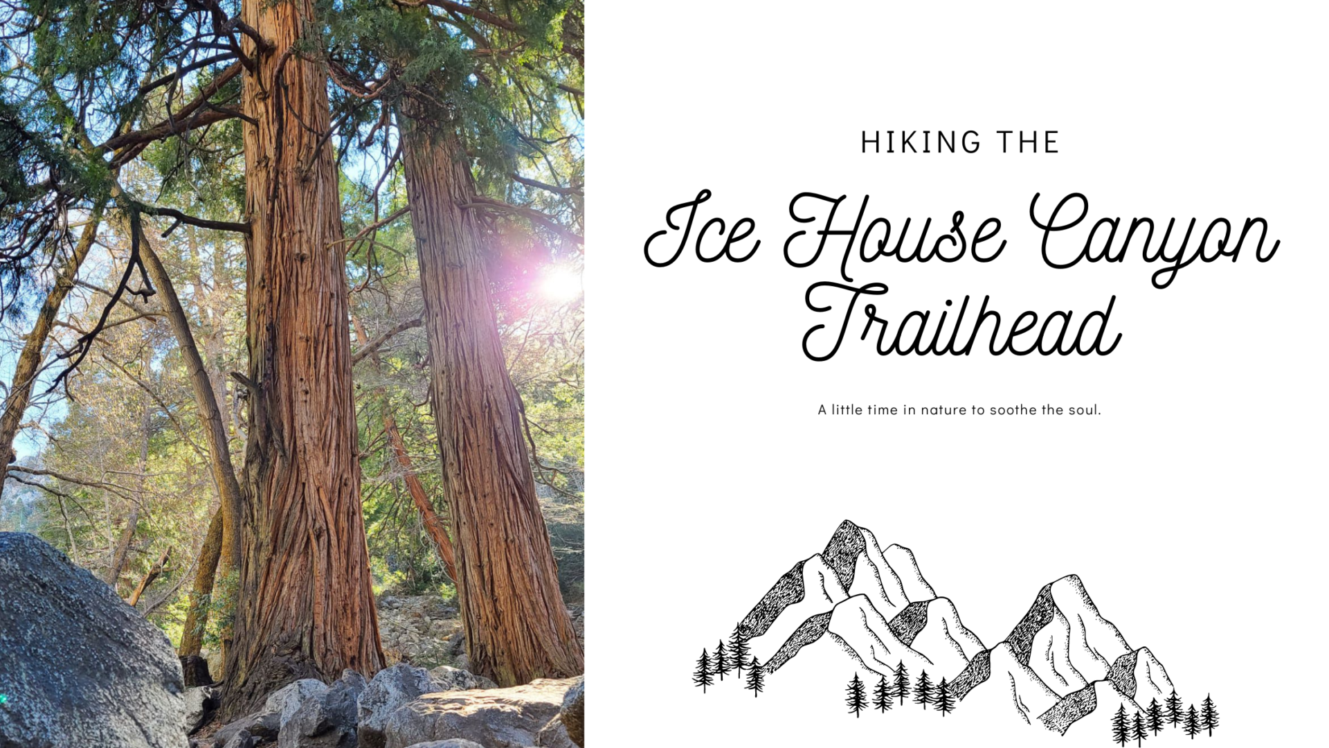 Hiking the Ice House Canyon Trailhead