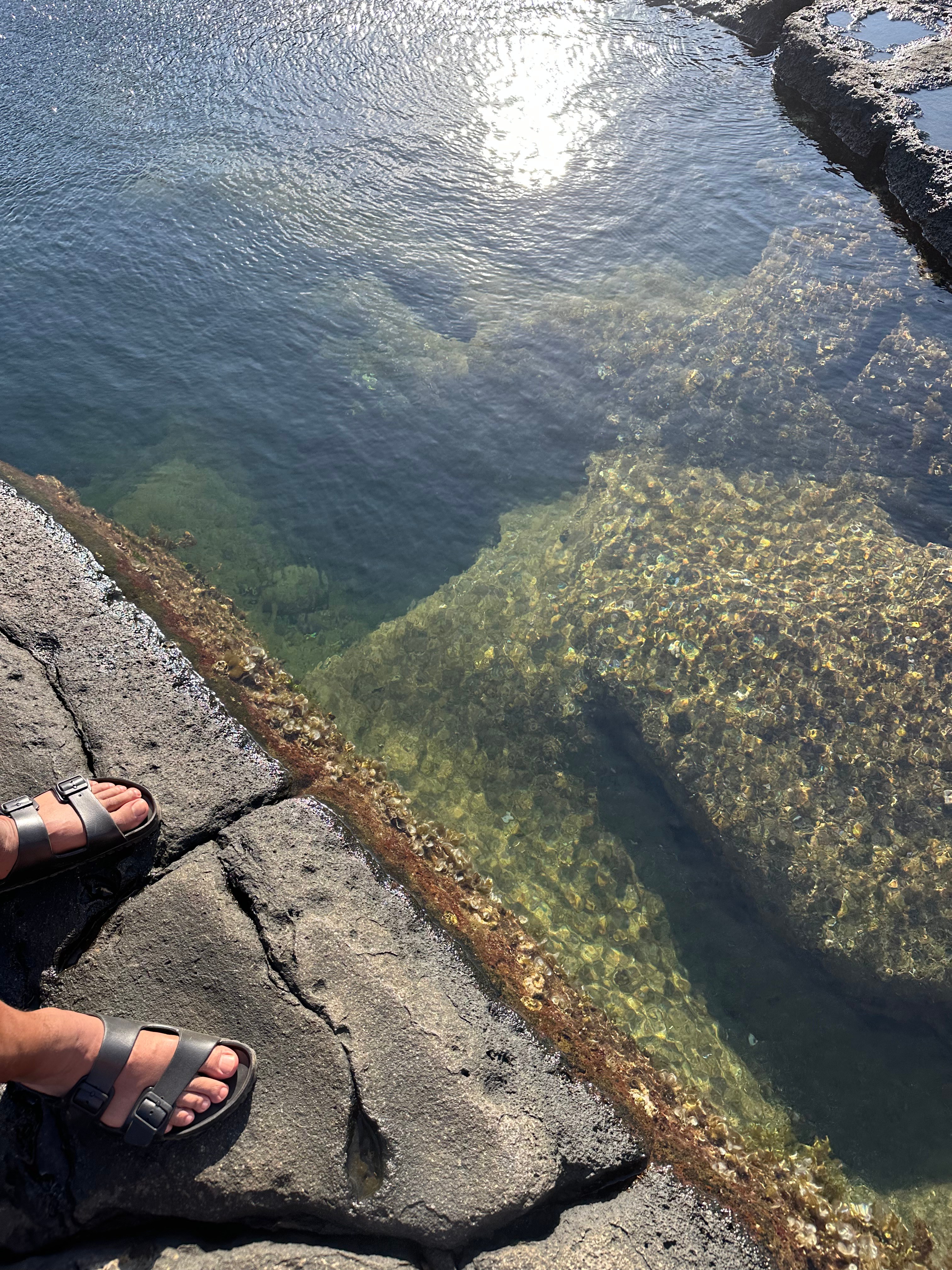 A look into an Olivine pool. Maui-A complete 7 day itinerary.