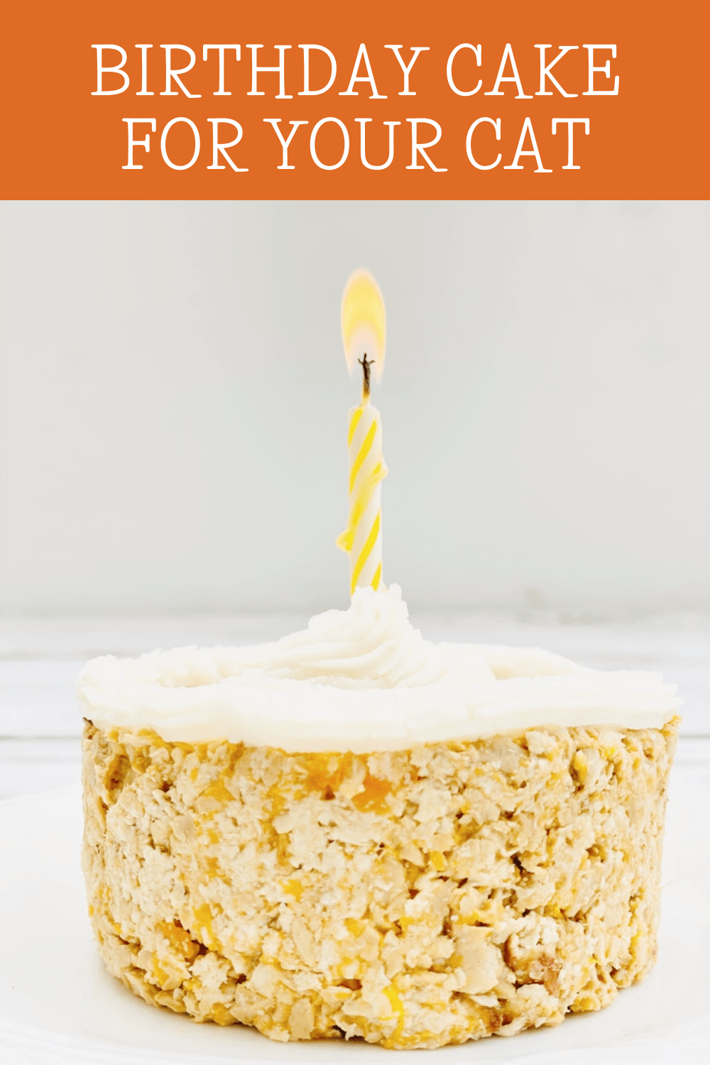 Birthday cake for your cat