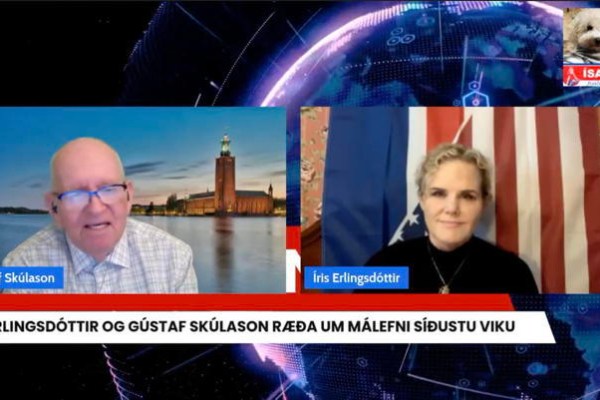 Passið ykkur á „sérfræðingum“ RÚV