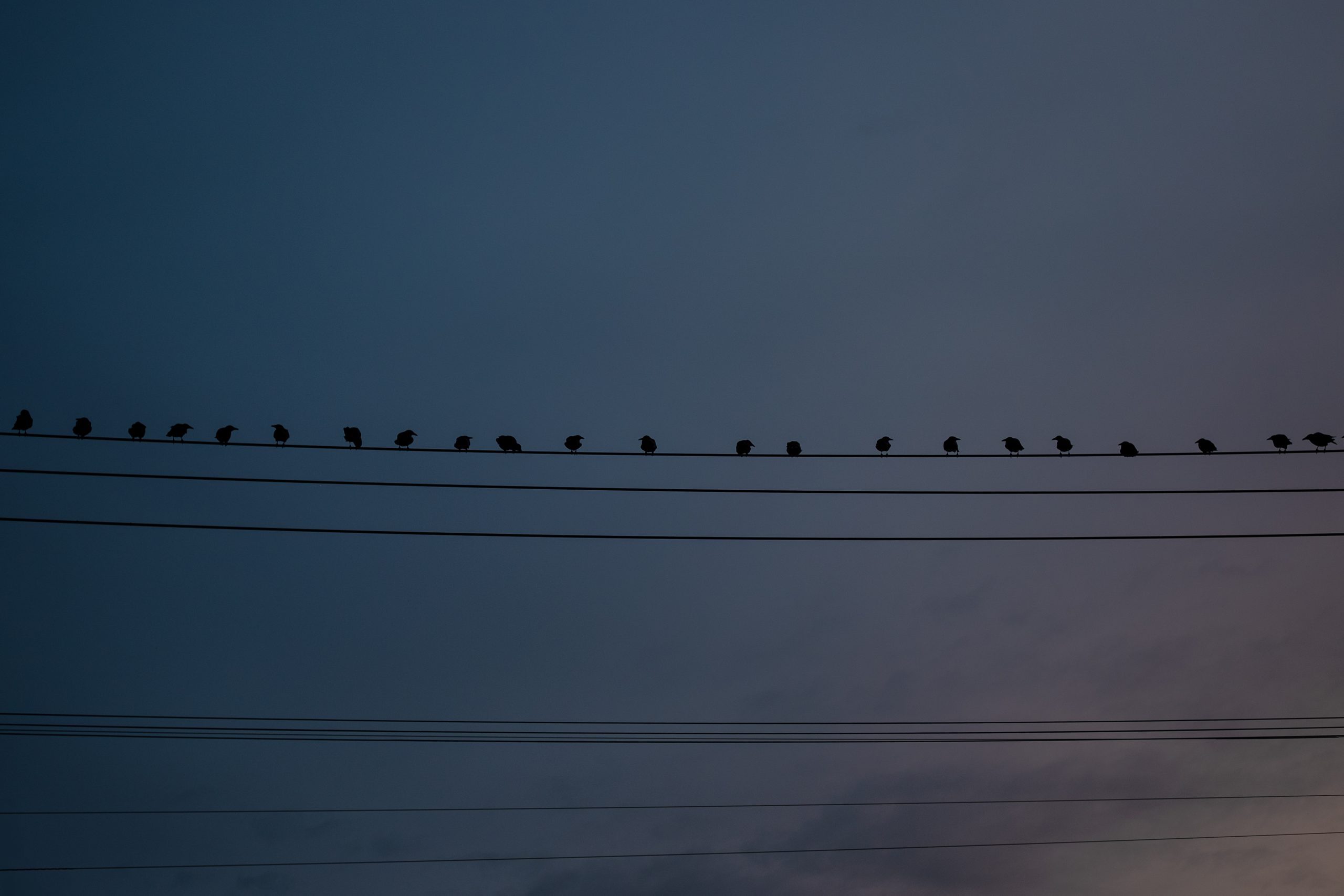 Find Your Direction: Online Photography Workshop