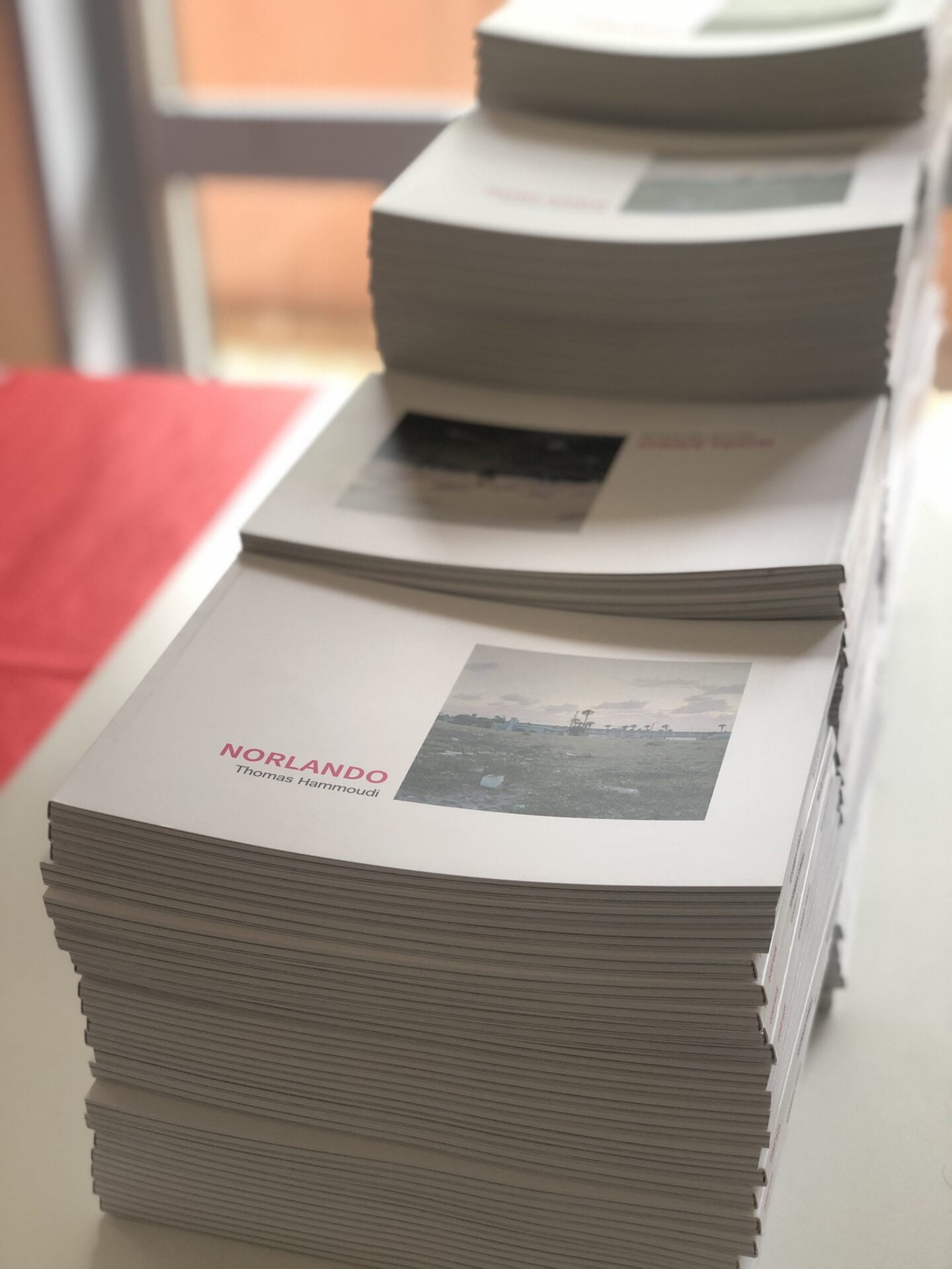 Img 6417 - Livre NORLANDO - Thomas Hammoudi