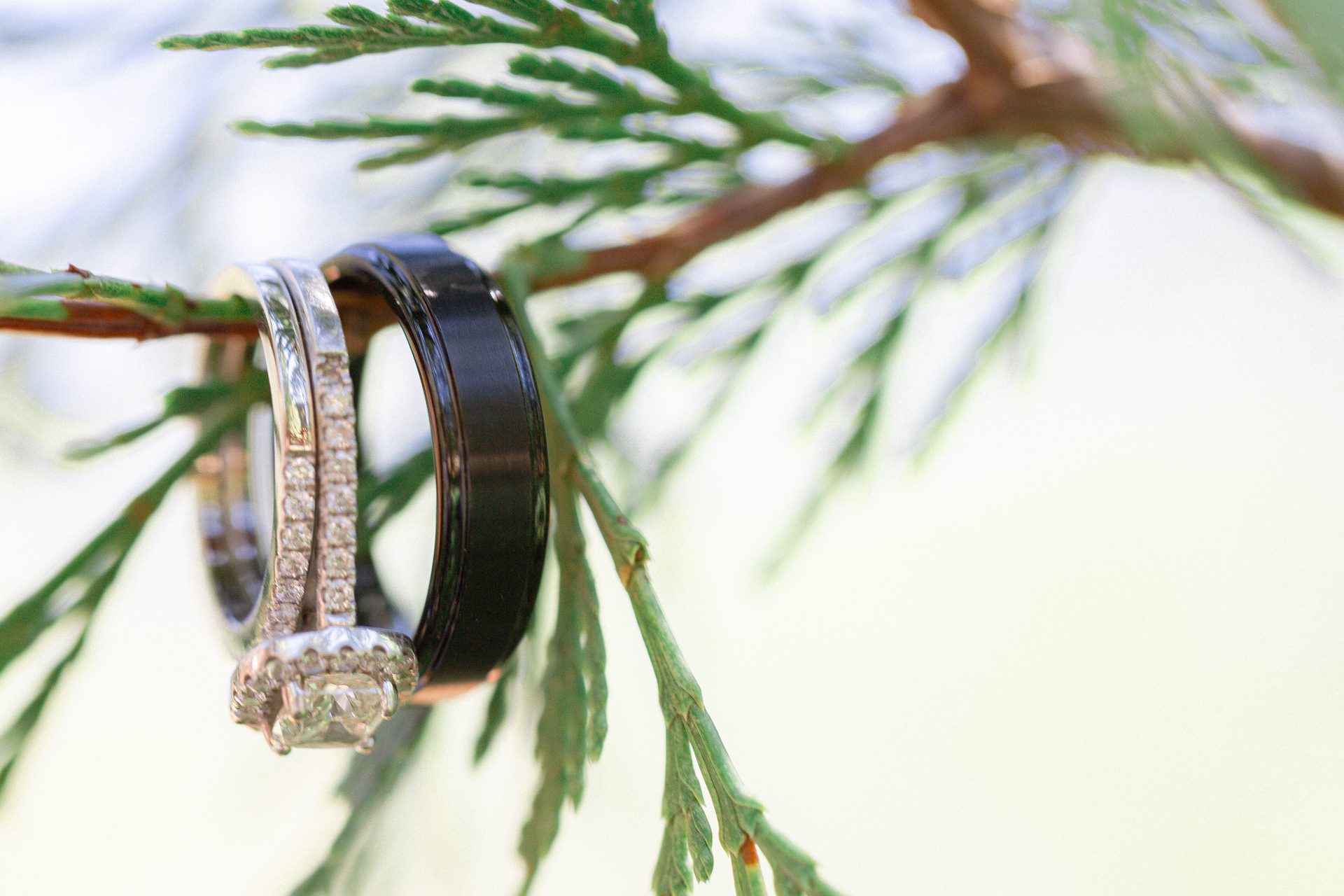 The Pines Resort, Bass Lake Rings