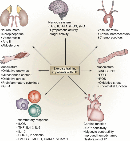 Exercise in Heart Failure: Effectiveness Versus Safety | Thoracic Key