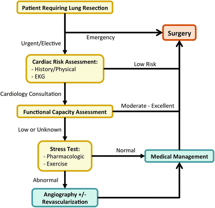 Preoperative Evaluation of the Thoracic Patient | Thoracic Key