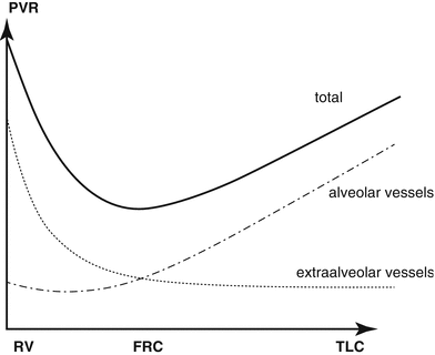 Special Considerations for the Pulmonary Hypertension Patient ...