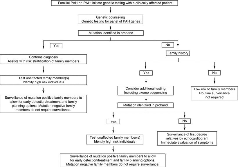 Genetics of Pulmonary Vascular Disease | Thoracic Key