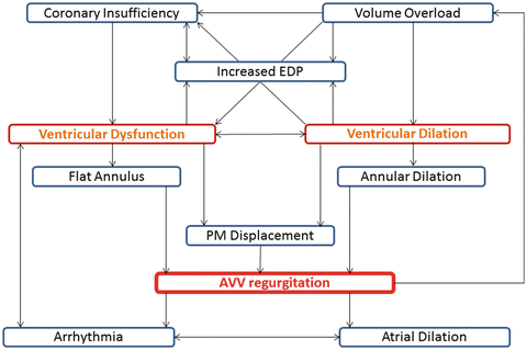 Assessment of Atrioventricular Valve Anatomy and Function in Congenital ...