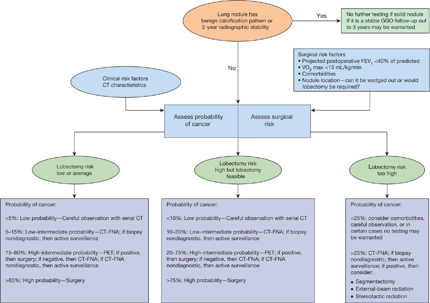 Approach to the Patient with Pulmonary Nodules | Thoracic Key