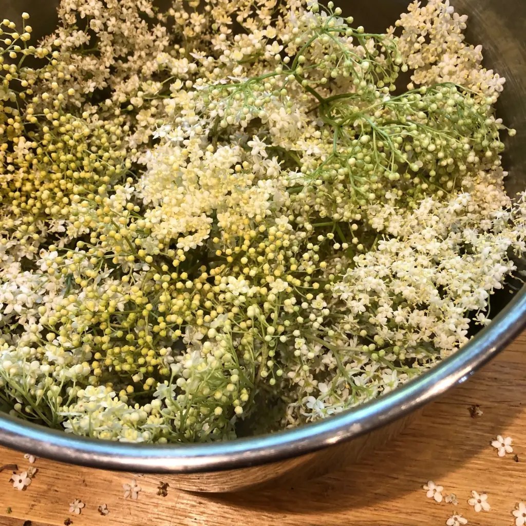 Elderflower Fizz