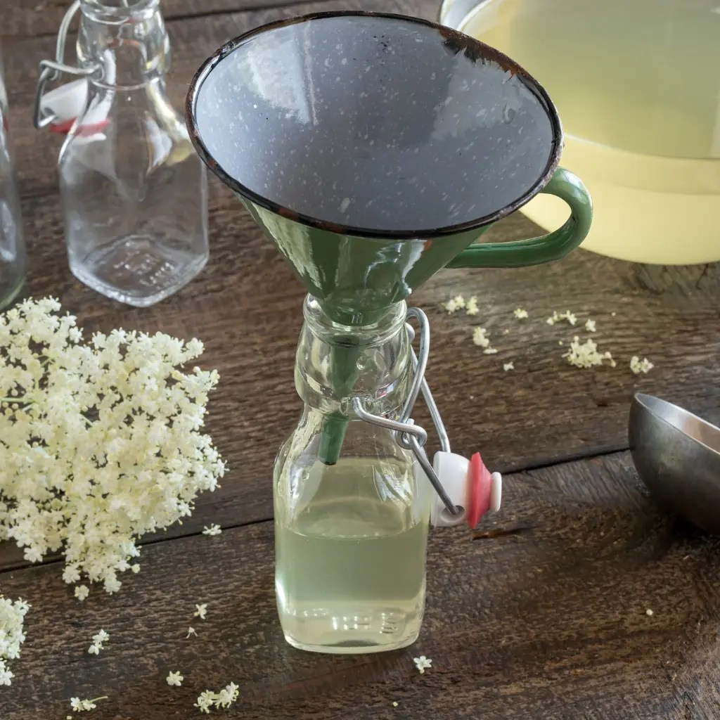 Elderflower Fizz