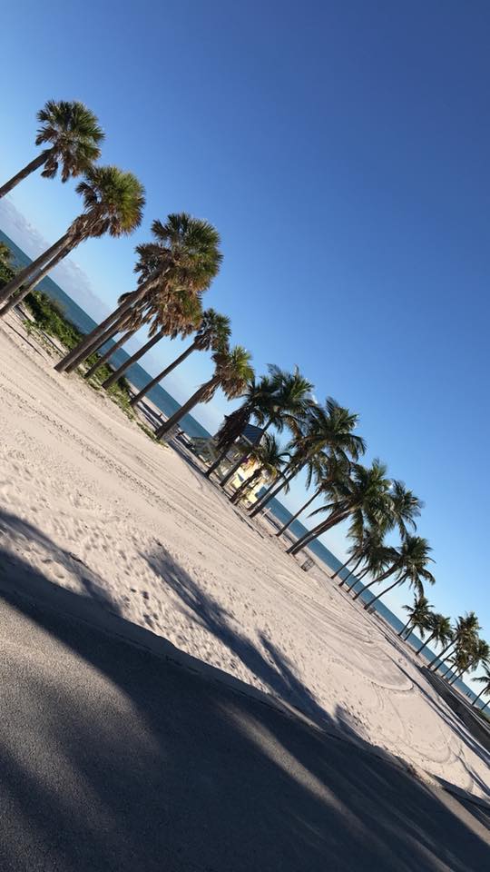 palms