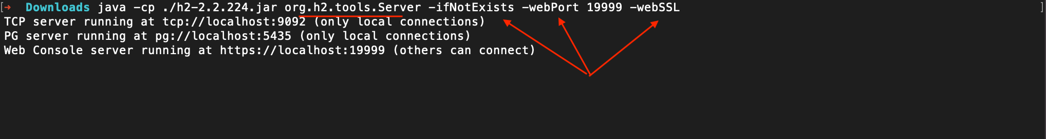 An example regarding how to open the web console for the H2 Database from the command line -- the exact command used here is "java -cp ./h2-2.2.224.jar org.h2.tools.Server -ifNotExists -webPort 19999 -webSSL".