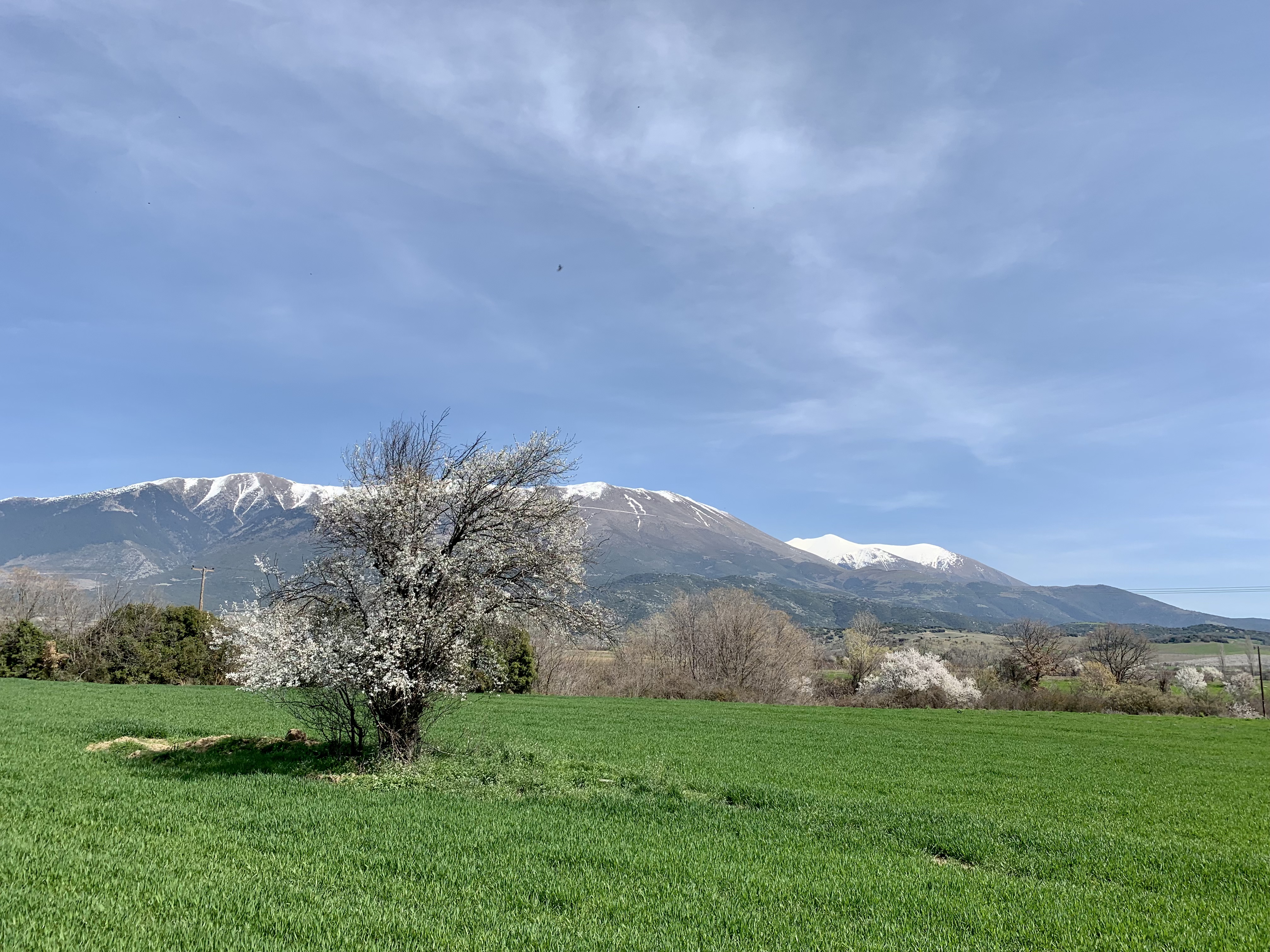 Olympus Greece