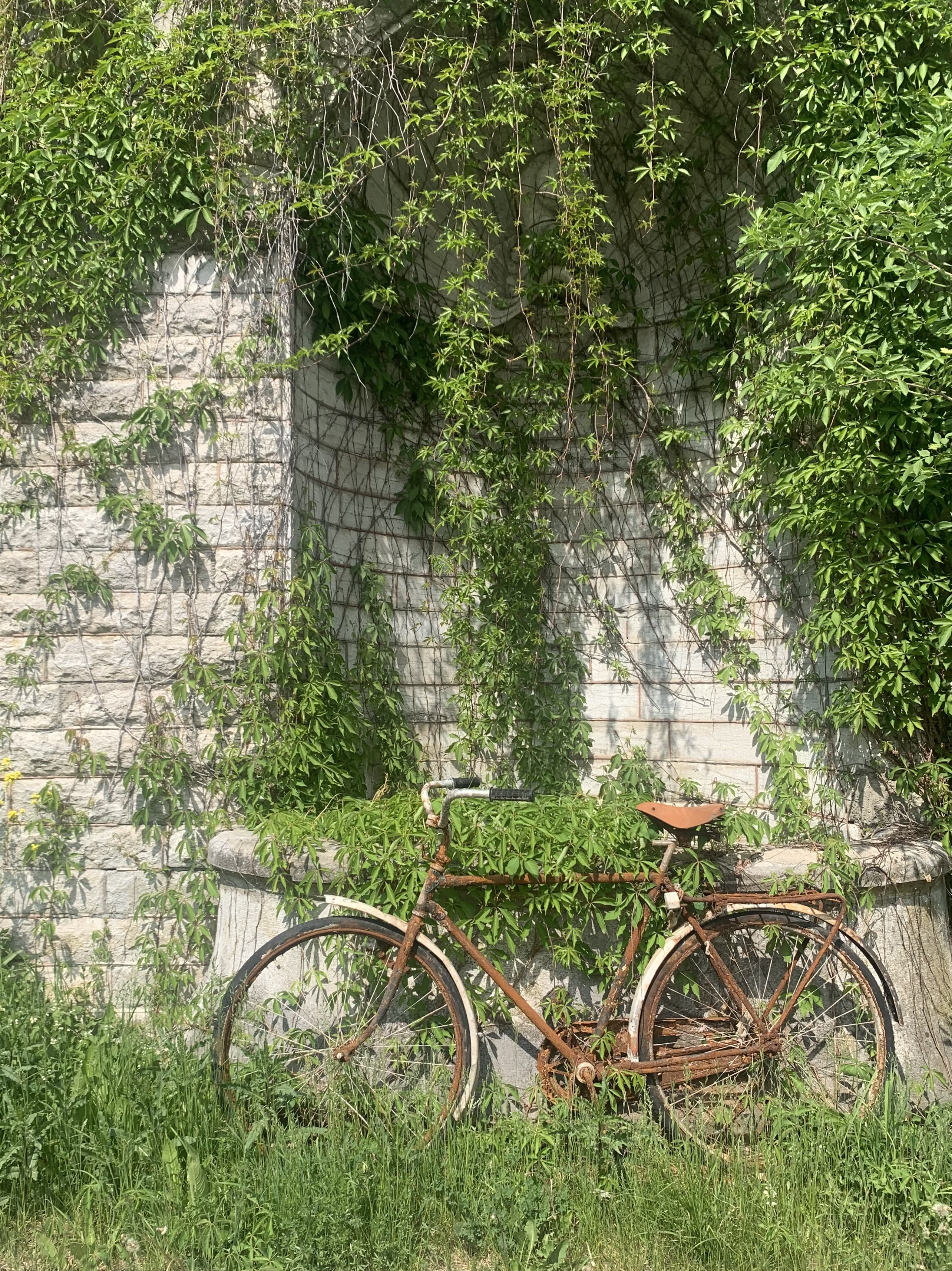 Rusty Bike Spring Edition