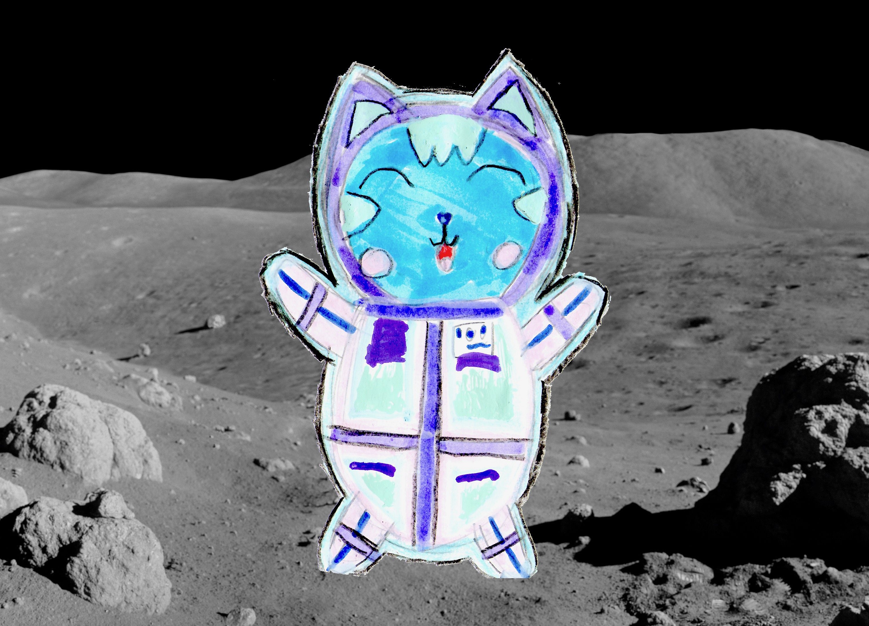 Space cat