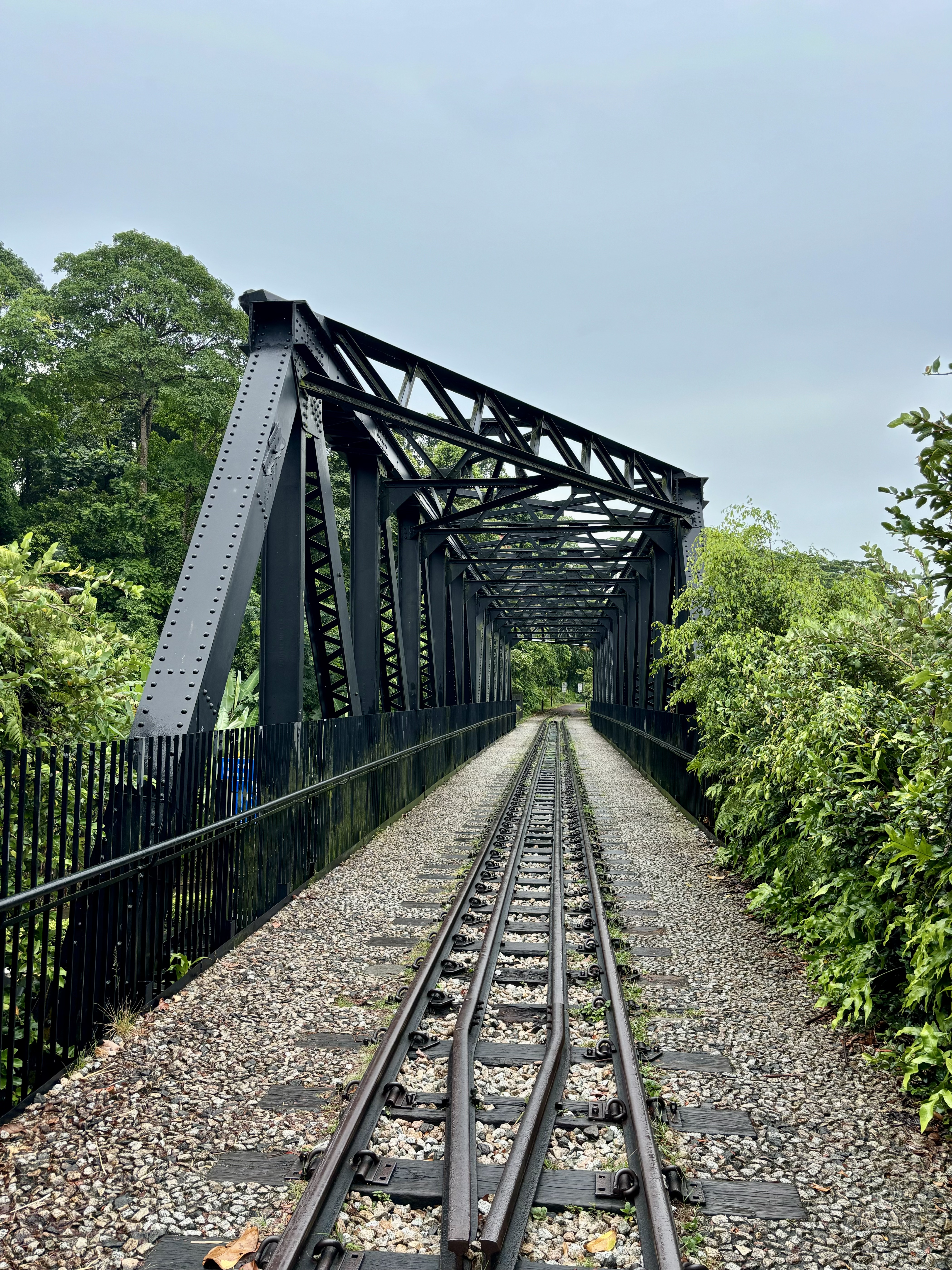 Upper Bukit Timah Truss Bridge Singapore