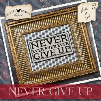 NEEDLEWORK MARKETPLACE: Never Give Up by Little Robin Designs