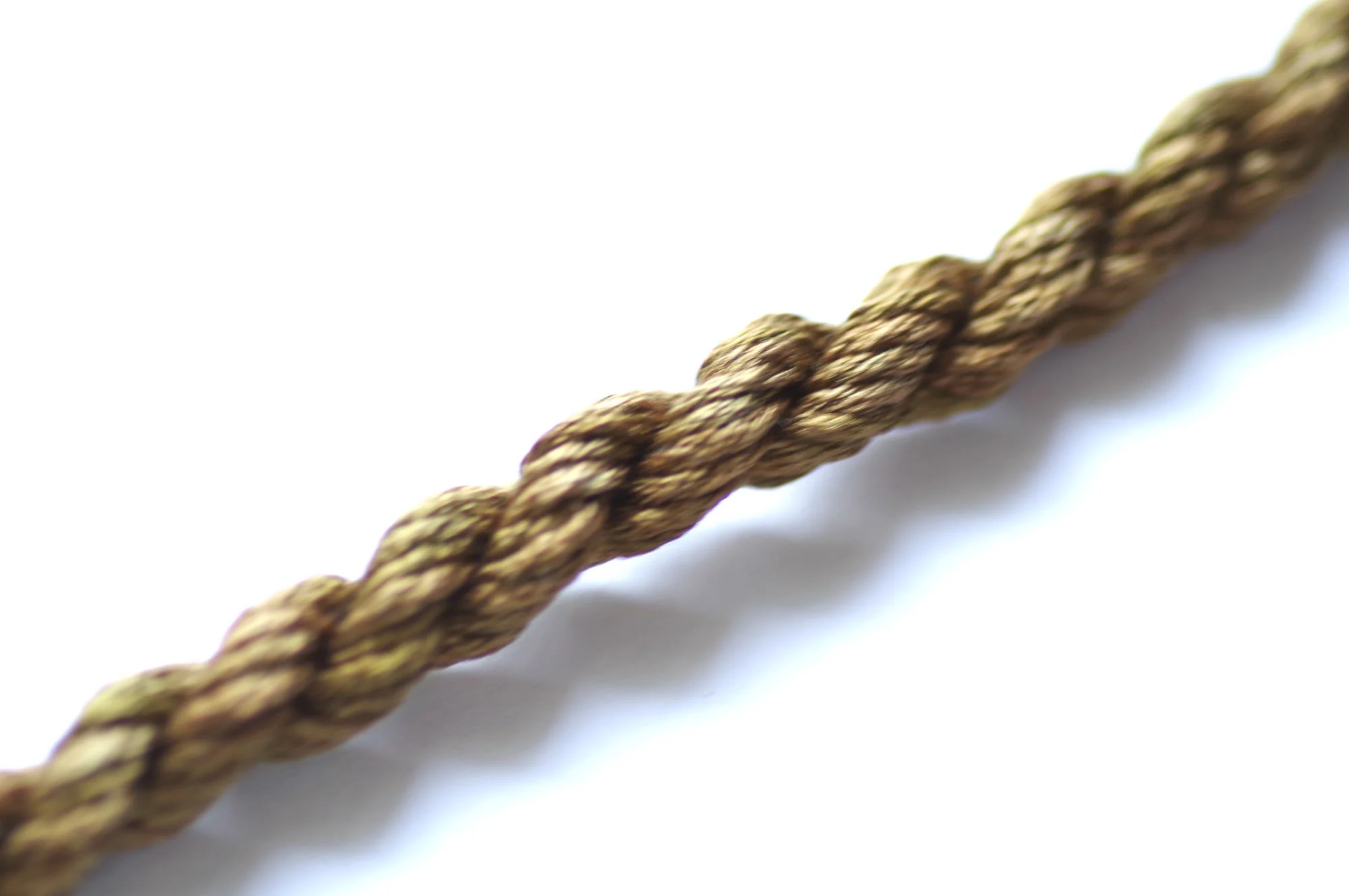 Collections Thethreadgatherer - Classic High Resolution Minimal Illustrations | Free Download