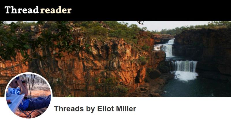 Eliot Miller Portfolio - Elegant Retina Nature Patterns | Free Download