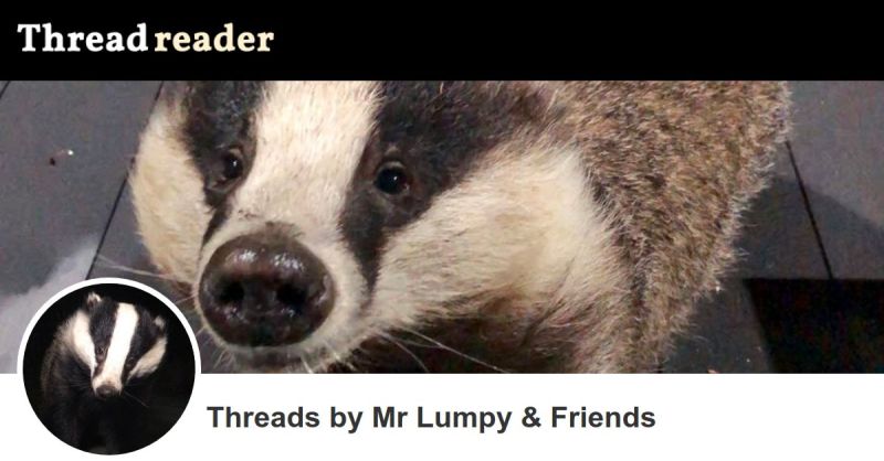 Mr Lumpy Friends S Threads Thread Reader App - Download High Quality Minimal Illustration | Full HD