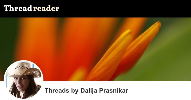 Siddhartha Joshi S Threads Thread Reader App - Landscape Illustrations - Gorgeous High Resolution Collection