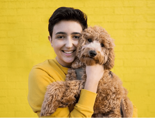 BENEFITS OF SUPPORT ANIMALS